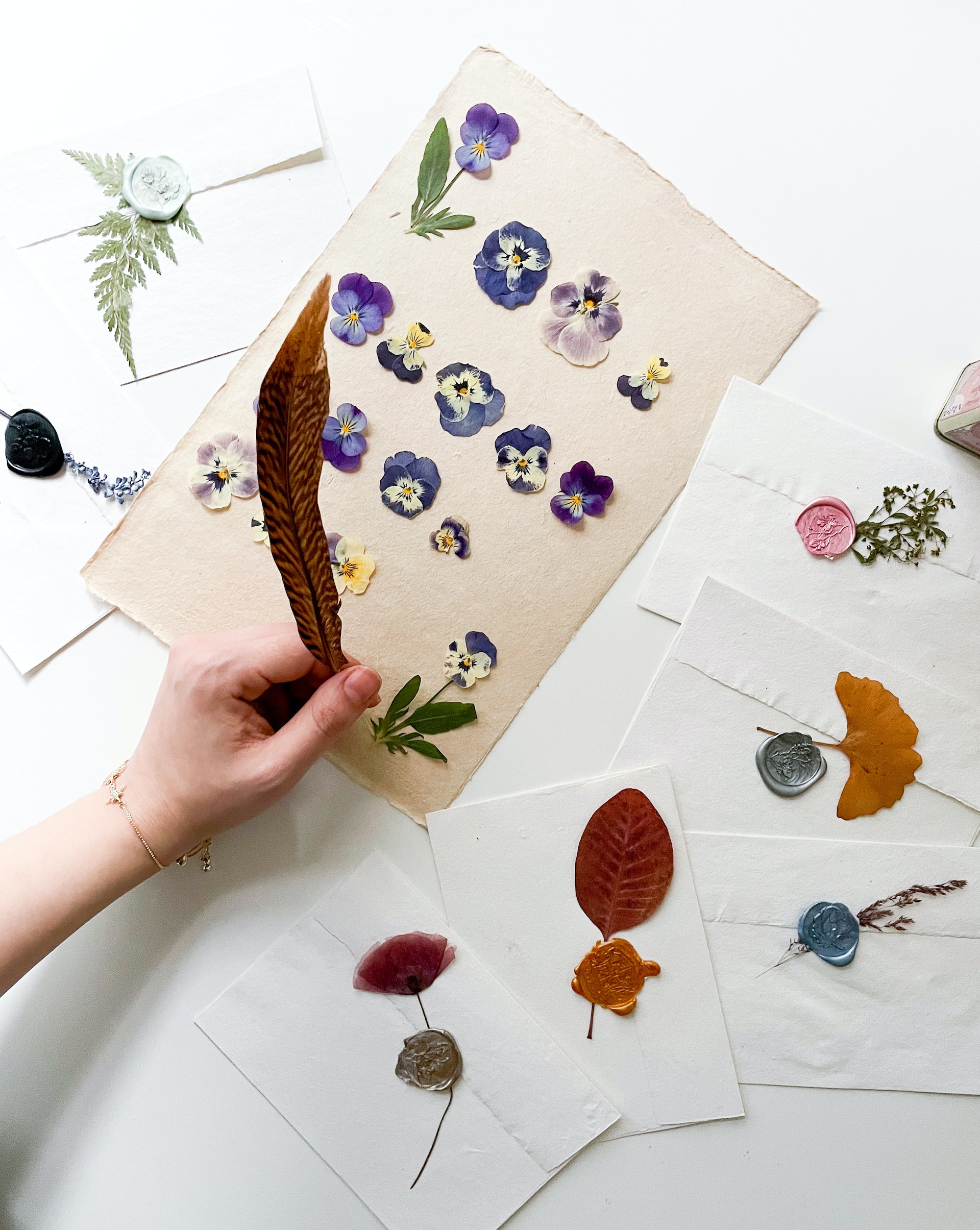 feather plum with art